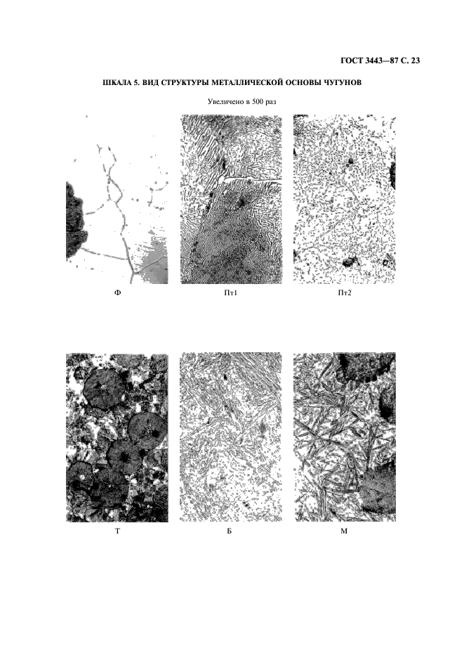 ГОСТ 3443-87 Отливки из чугуна с различной формой графита. Методы определения структуры (фото 24 из 43)