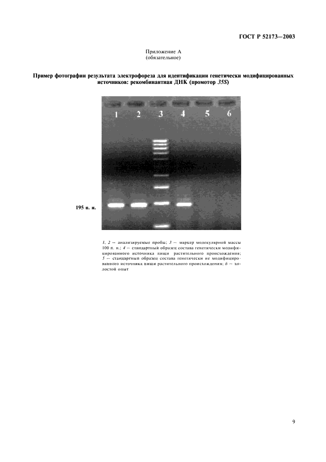 ГОСТ Р 52173-2003 Сырье и продукты пищевые. Метод идентификации генетически модифицированных источников (ГМИ) растительного происхождения (фото 12 из 15)