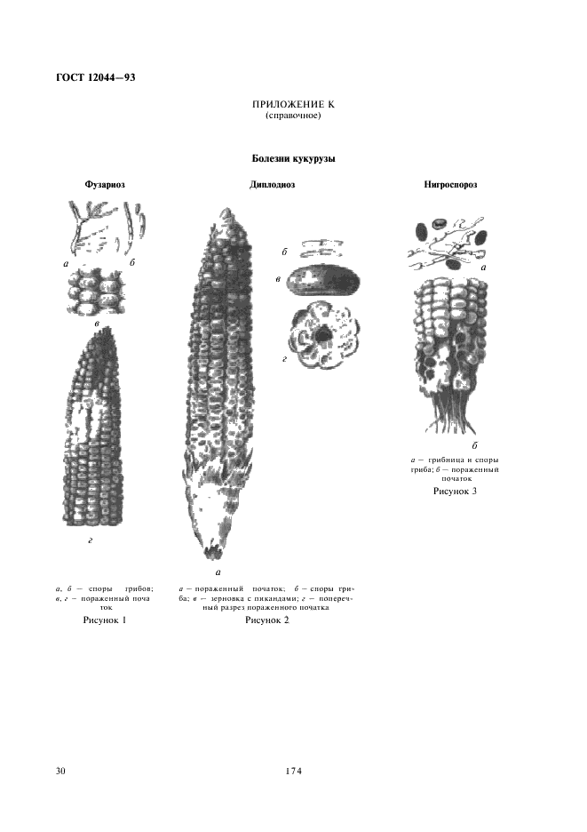ГОСТ 12044-93 Семена сельскохозяйственных культур. Методы определения зараженности болезнями (фото 32 из 57)