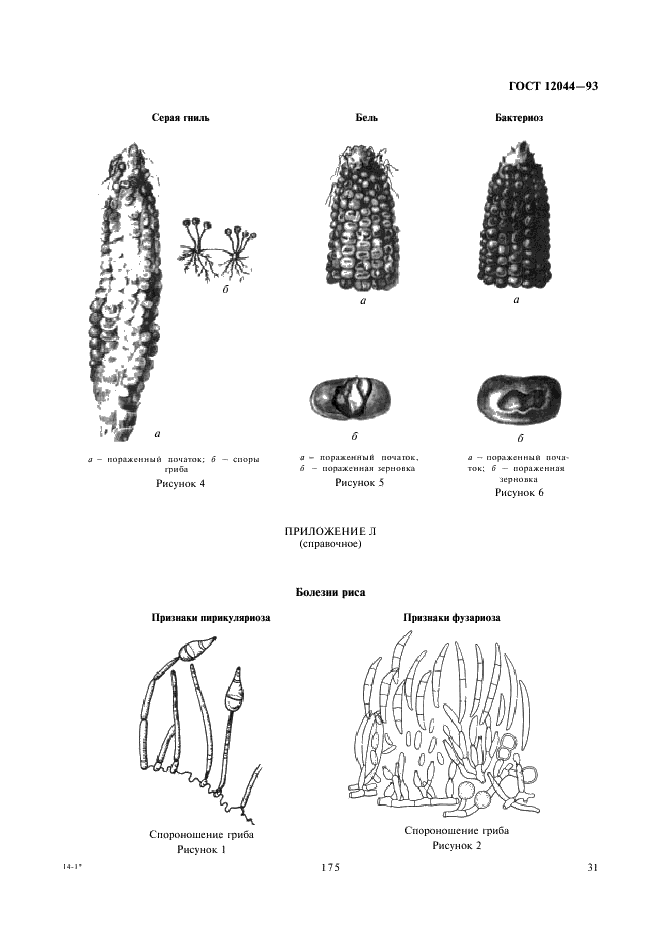 ГОСТ 12044-93 Семена сельскохозяйственных культур. Методы определения зараженности болезнями (фото 33 из 57)