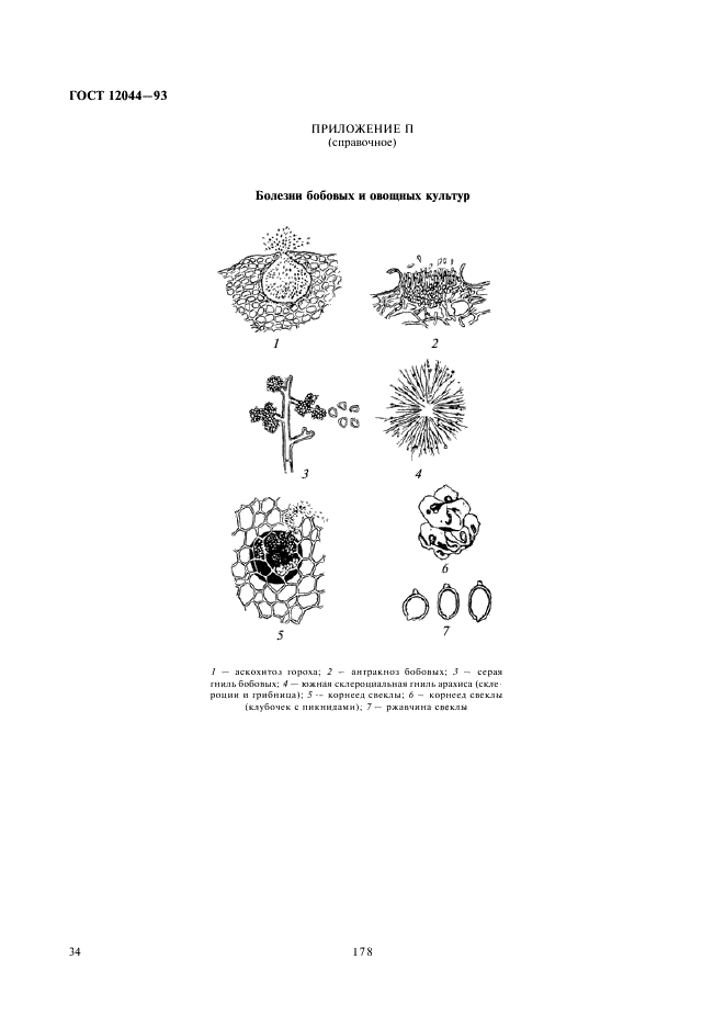 ГОСТ 12044-93 Семена сельскохозяйственных культур. Методы определения зараженности болезнями (фото 36 из 57)